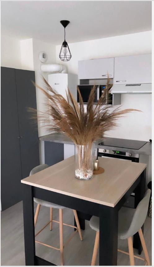 Appartement Cosy Et Bien Equipe น็องแตร์ ภายนอก รูปภาพ